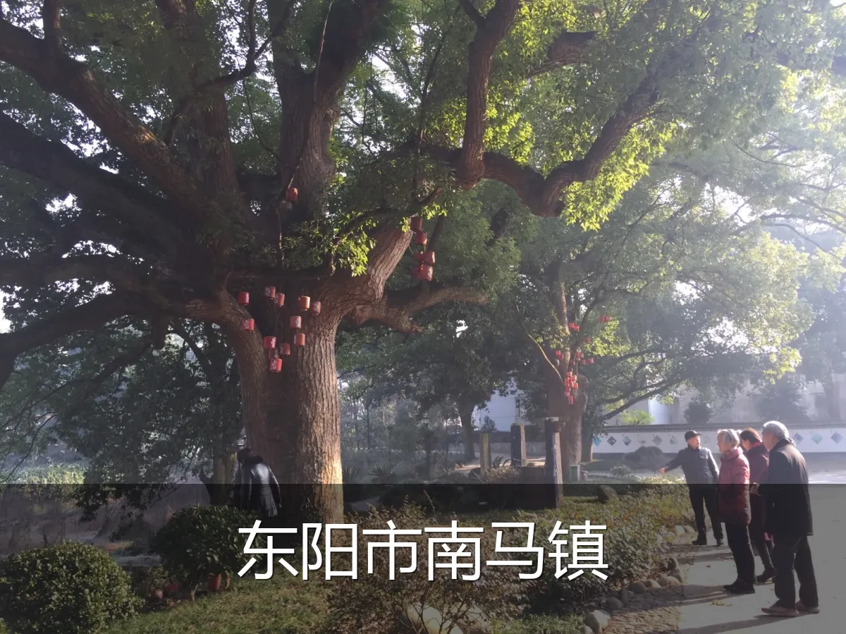 东阳市南马镇