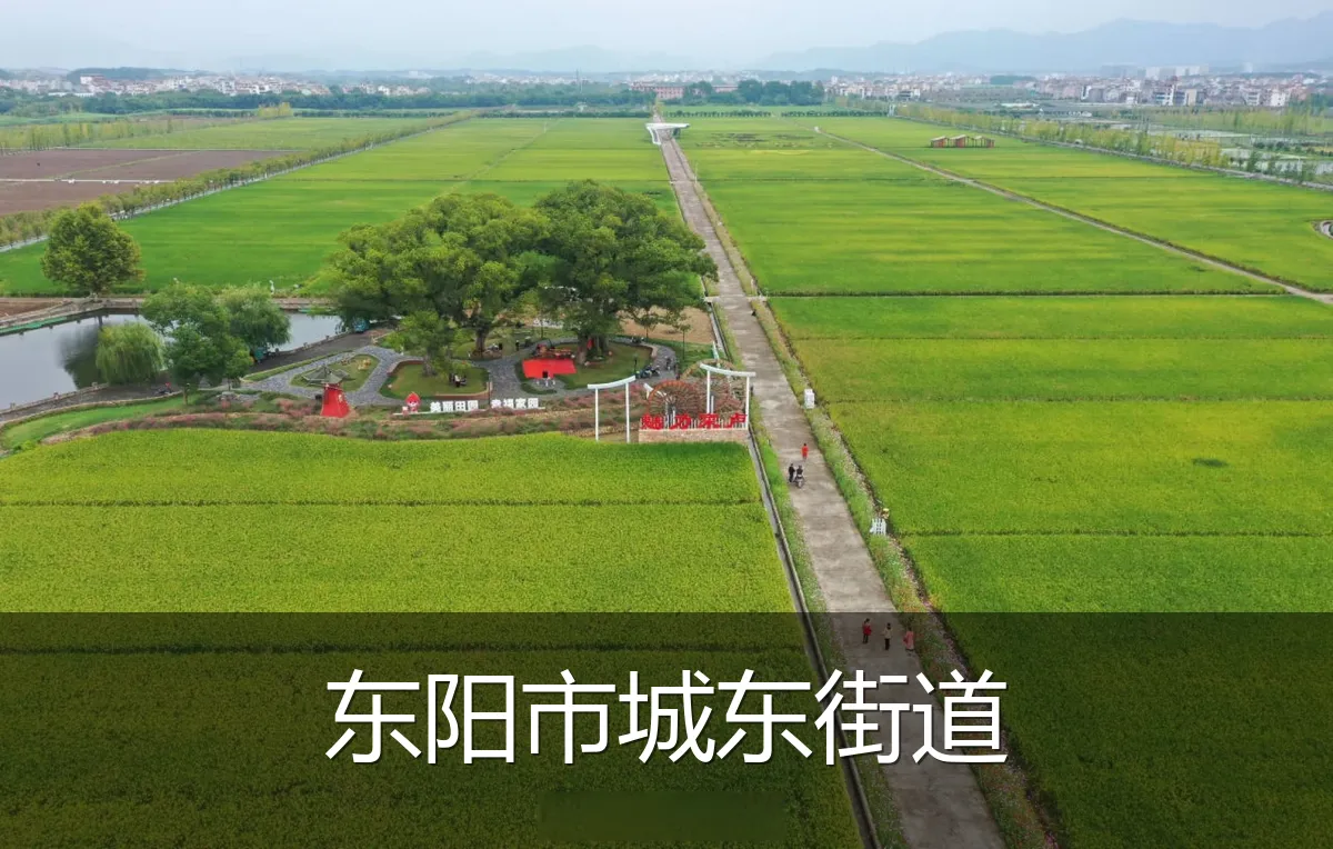 东阳市城东街道
