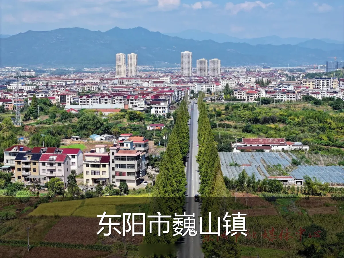 东阳市巍山镇