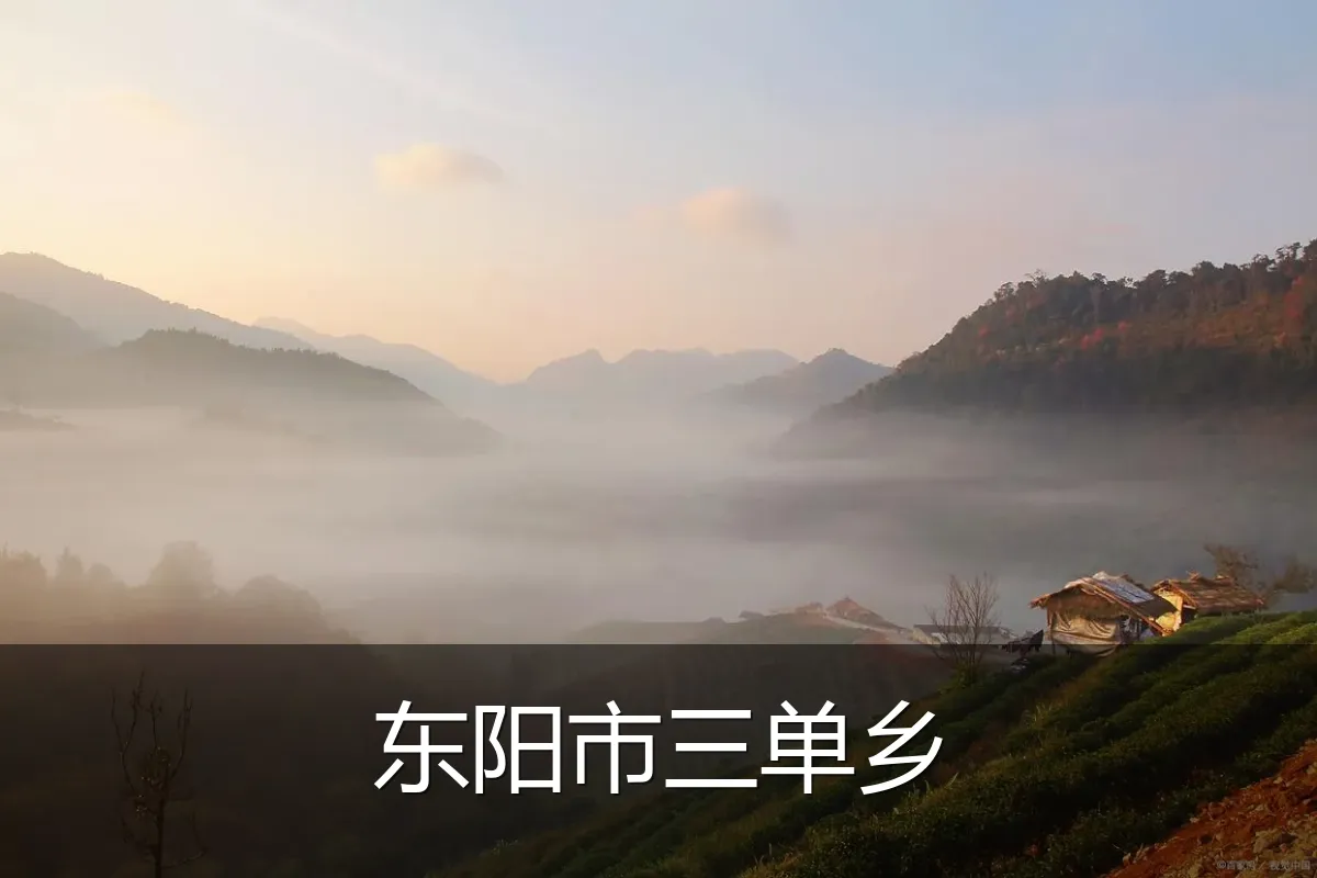 东阳市三单乡
